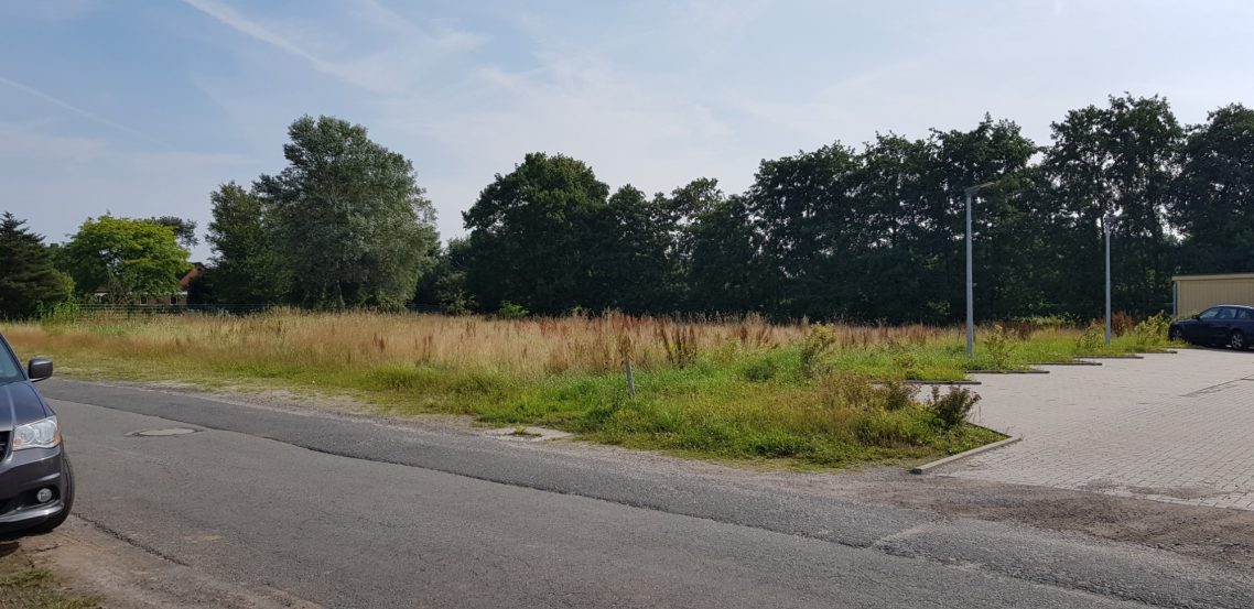 Am Anfang war die Wiese Eine weite, ungenutzte Wiese mit hohem Gras und Bäumen im Hintergrund.